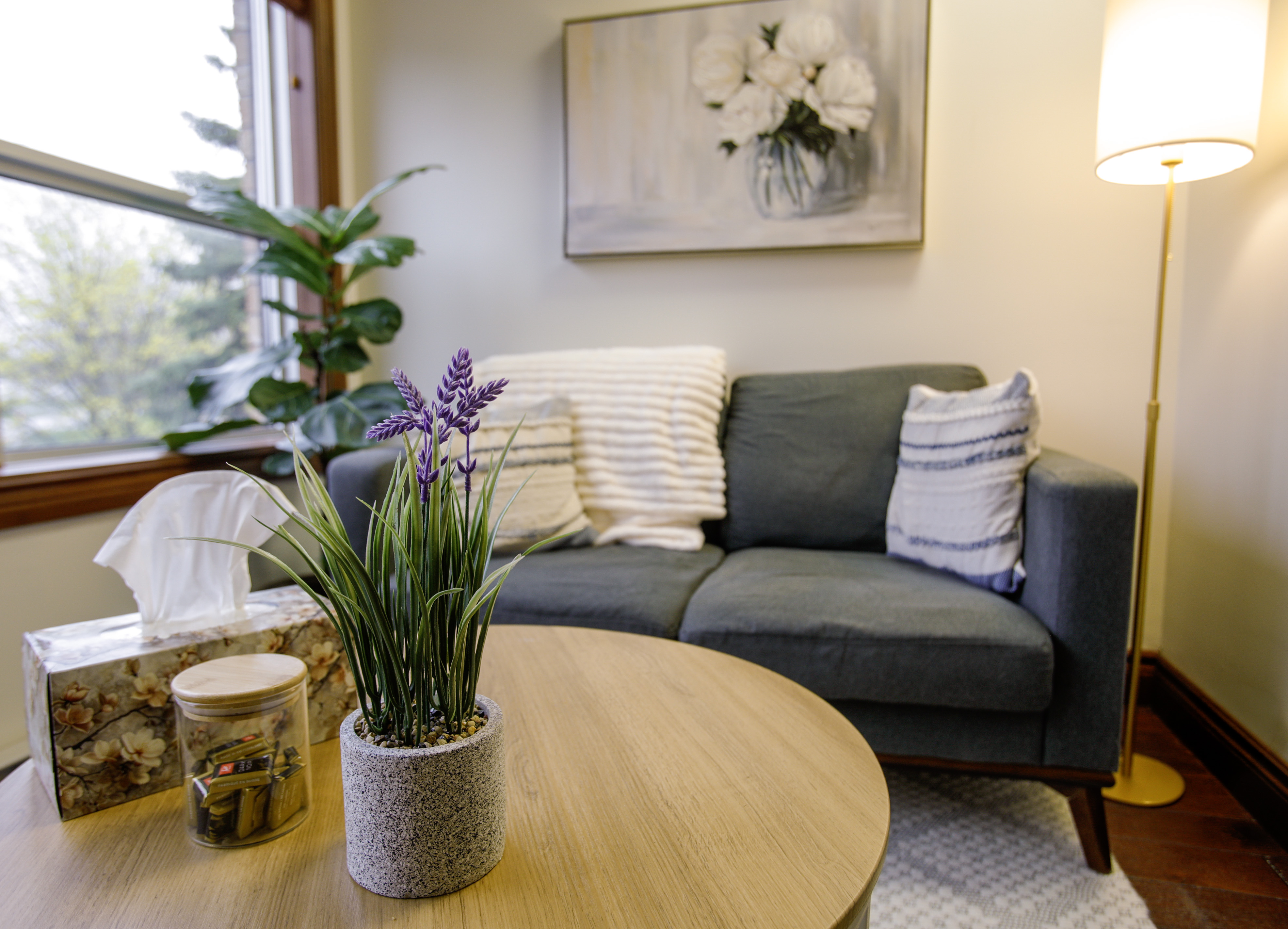 Therapy office setting